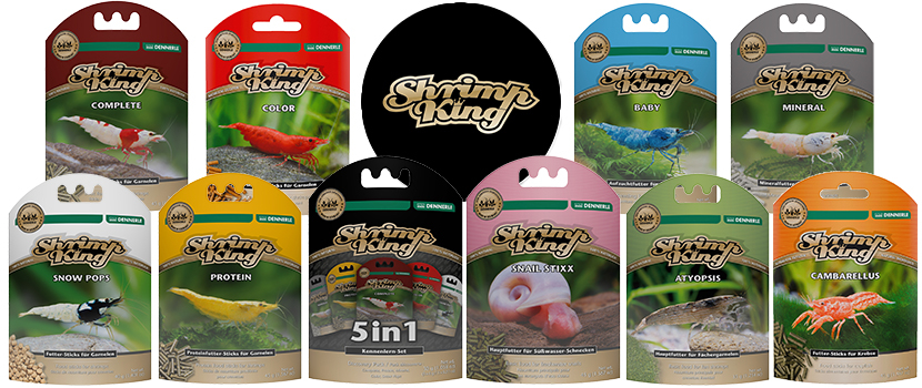 Dennerle Shrimp King