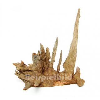 Corbo Root Nano