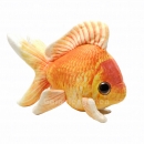 Nature4Pets - Goldfish Plush