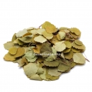Garnelengarten® Espenblätter 30 Stück