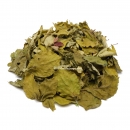 Garnelengarten® Zwetschgenblätter 30 Stück