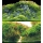 Hobby Hintergrund "River/Green Rocks" 60x30 cm