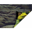 Aqua Nova Hintergrund Rock/Plants S - 60x30 cm