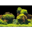 Aqua Nova Hintergrund Rock/Plants S - 60x30 cm