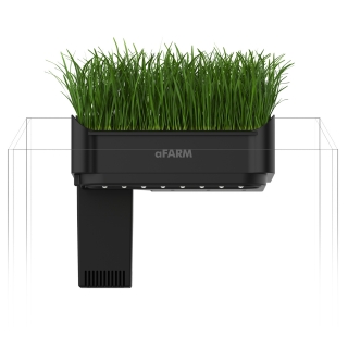 Collar aFARM Aquaponics Kit