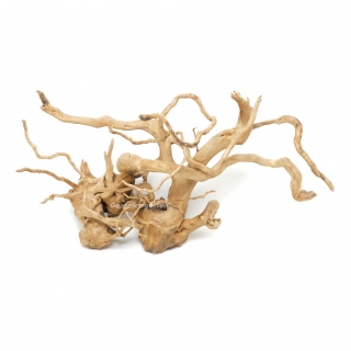 Moorwurzel - Spiderwood Small/Medium - ohne Auswahl
