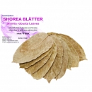 Garnelengarten® Shorea Blätter 10 Stück