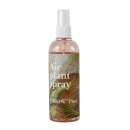 Tillandsien Pflegespray 80 ml