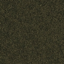 Tropical Caridina Nano Sticks 10 g