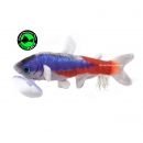 GreenPleco - Tetra Cardinal Neon Plushie