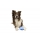 Kiwi Walker Whistle Figure S - Blau