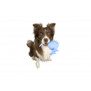 Kiwi Walker Whistle Figure M - Blau