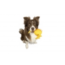 Kiwi Walker Whistle Figure M - Orange