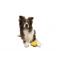 Kiwi Walker Whistle Figure M - Orange