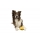 Kiwi Walker Whistle Figure M - Orange
