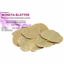 Garnelengarten® Moneta Blätter 10 St.