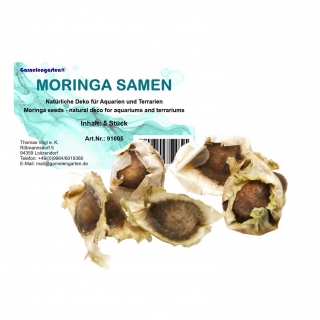 PowerNature - Moringa oleifera Samen 5 Stück