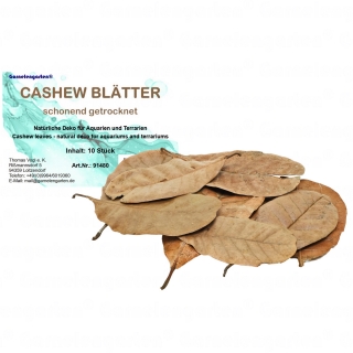 Garnelengarten® Cashew Blätter 10 St.