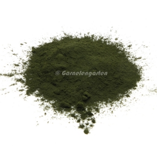 Chlorella Pulver 250 g | Superfood für Hunde