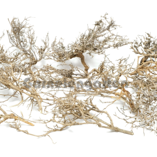 Garnelen Bäumchen/Fächer natur ca. 1000 g