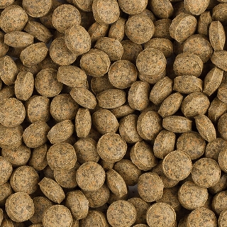 Tropical BL Vege Tablet B - Futtertabletten 1 kg