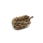 Casuarina Cones - Kasuarinen Zapfen 800 g