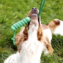 Swing`n Chew Stick | Hundespielzeug
