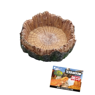 Reptile Nova Dish Wood | Wasserschale