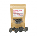 Garnelengarten® Lotus Pods Mini - 10 Stück