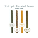 GlasGarten Shrimp Lollies 4 in1 Power Algae 8 St. | MHD 10/26