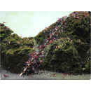 GlasGarten Shrimp Lollies 4 in1 Power Algae 8 St. | MHD 10/26