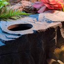 Terra Della Reptilienversteck Felsen | Wetbox - Größe M