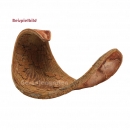 Hornschote natur