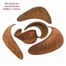 Hornschote natur - B-Ware