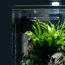 Dennerle Corner Filter 60