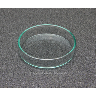 Futterschüssel 63 mm - 20 Stück - AKTION