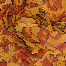 B-Ware | Tropical Vitality & Color Flockenfutter 250...