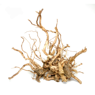 Moorwurzel Selected Edition Premium | ohne Auswahl