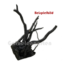 Black Moorwurzel - Spiderwood S - ohne Auswahl