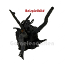 Black Moorwurzel - Spiderwood S - ohne Auswahl