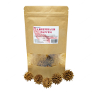 Garnelengarten® Amberbaum Zapfen - 5 Stück