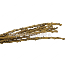 Garnelengarten® Palmblüten Branches - 10 Stück