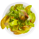 Lysimachia parvifolia ‘Red’ - Kleinblättriger Gilbweiderich | In-Vitro