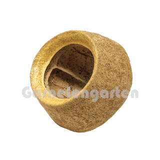 Sapucaia XL - Paradiesnuss