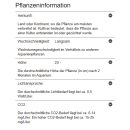 Hygrophila polysperma White - Indischer Wasserfreund | In-Vitro