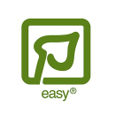 B-Ware | Anubias barteri var. nana ’Kirin’ - Speerblatt Kirin | Topf