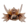 Hobby Dragon Skull S | 12,5 × 9 × 8,5 cm