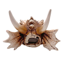 Hobby Dragon Skull M | 19,5 × 14,5 × 13,5 cm