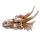 Hobby Dragon Skull M | 19,5 × 14,5 × 13,5 cm