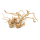 Spiderwood Large/XL - ohne Auswahl